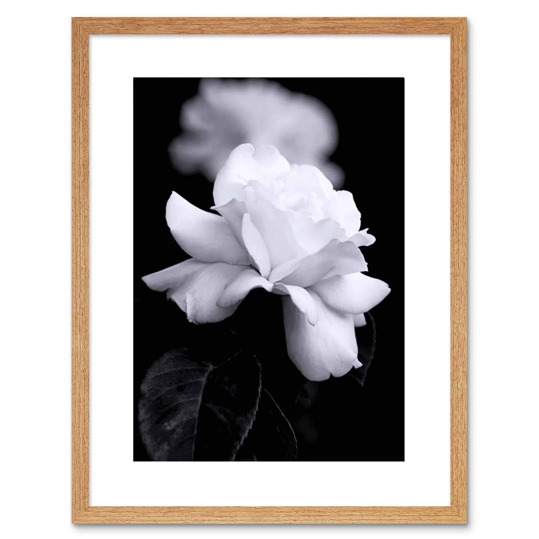 Wee Blue Coo Photo Nature Black White Rose Petal Flower Framed Wall Art Print
