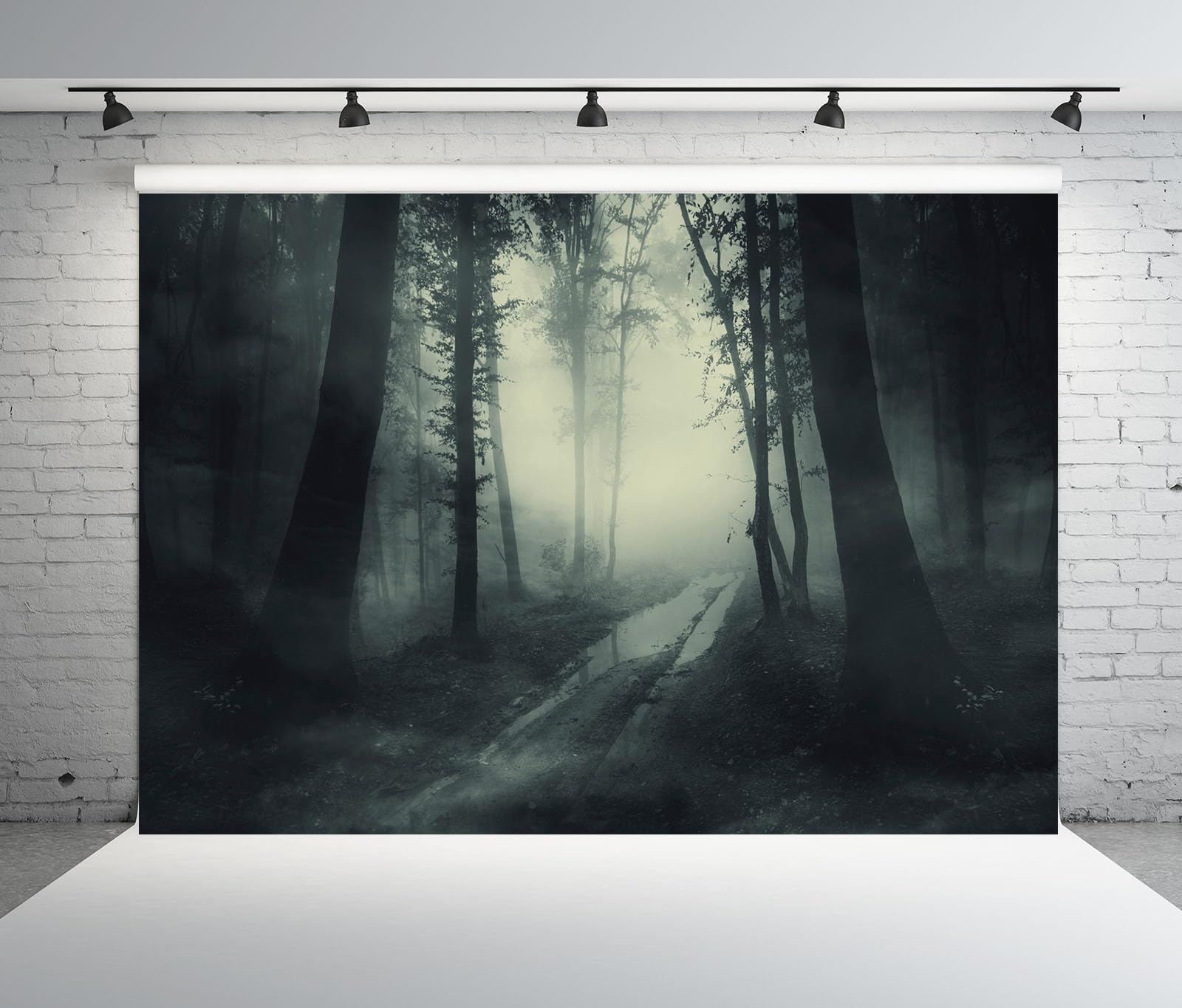 12x10FT (3.6x3m) Sentiero Nebbioso Tra Alberi Scuri Sfondo Fotografico