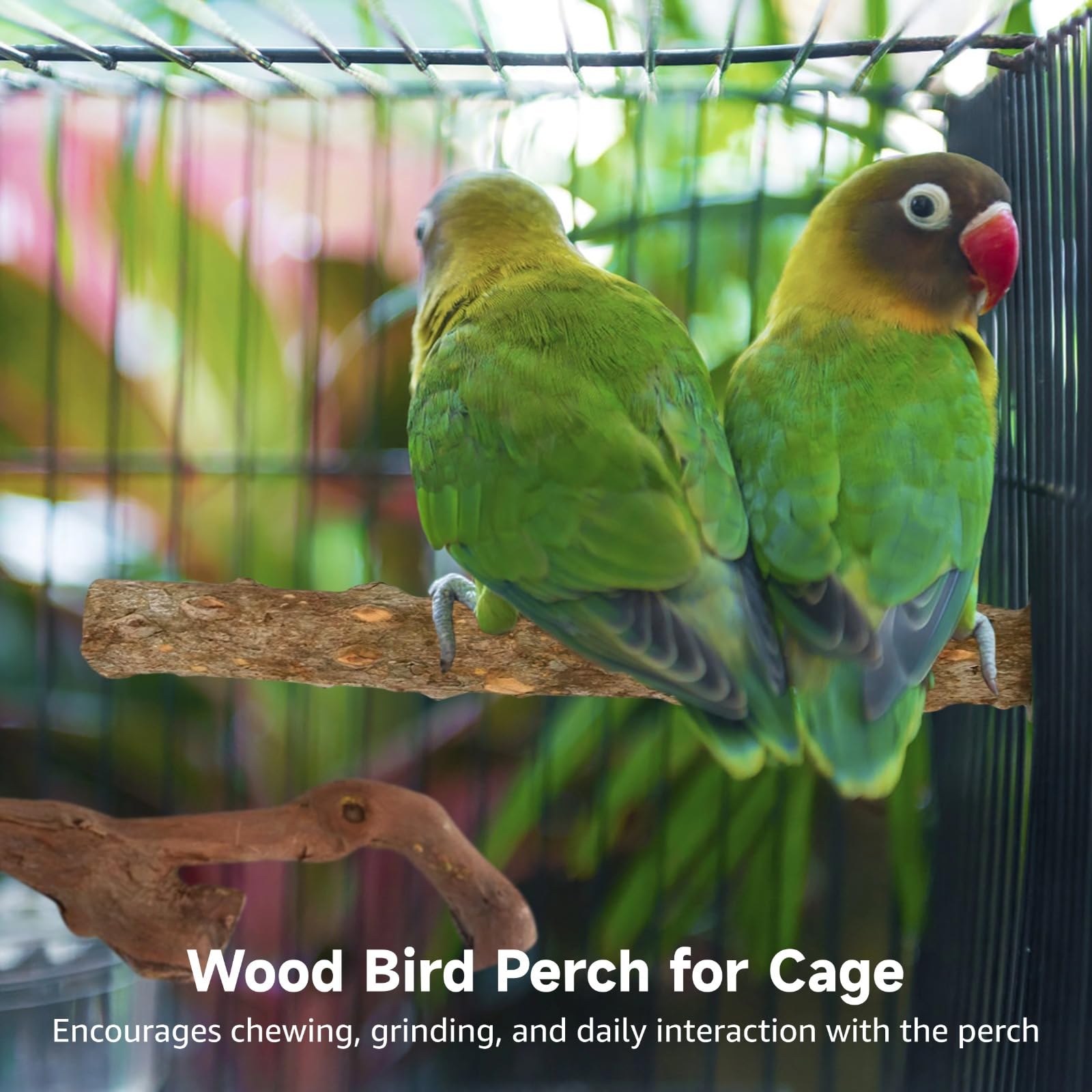 5 PCS Wood Bird Perches, Natural Grape Wood Branches with Mounts, Bird Stand and Paw Grinding Accessories, Cage Perches for Parakeet, Cockatiel, Conure, Budgie - image 2