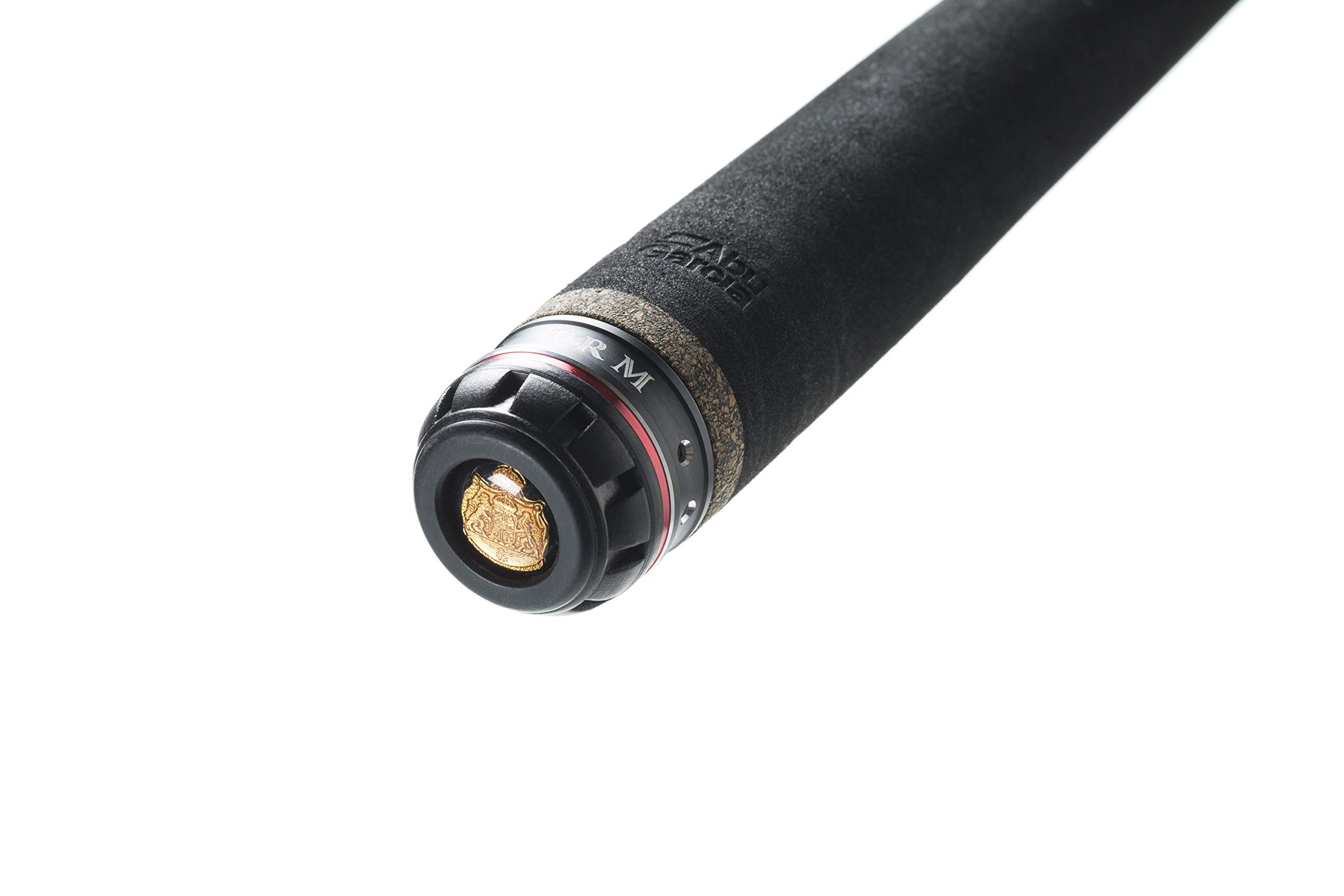 Amazon | アブガルシア(Abu Garcia) ショアジギングロッド スピニング