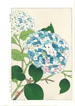Amazon.co.jp: 額装 河原崎奨堂 18891973 木版画 F075 紫陽花