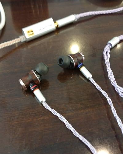 JVC WOODシリーズ HA-FW02 カナル型イヤホン