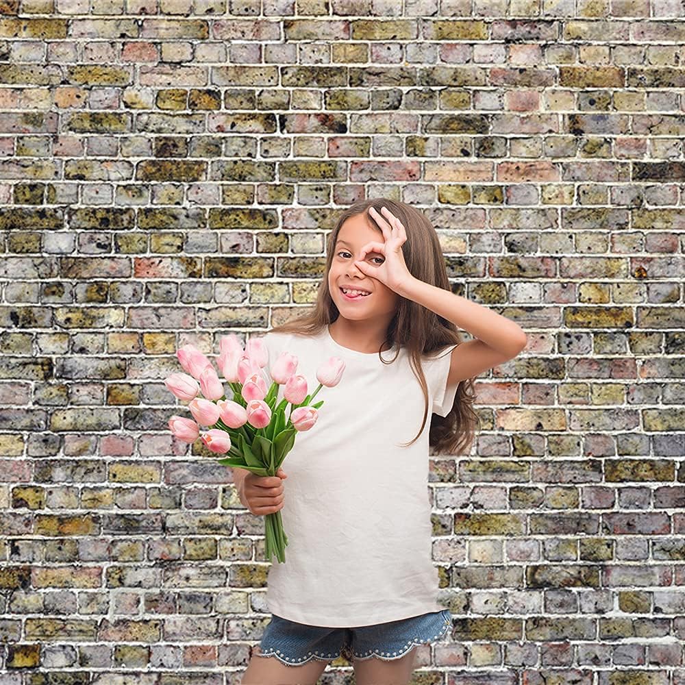 Bеѕt Dеаl 🛒 Basifoto Vintage Grey Brick Wall Photo Backdrops , Retro Brick Floor Background for Photography , Photo Booth Prop Backdrops for Picture , Seamless Microfiber, 10x6.5ft