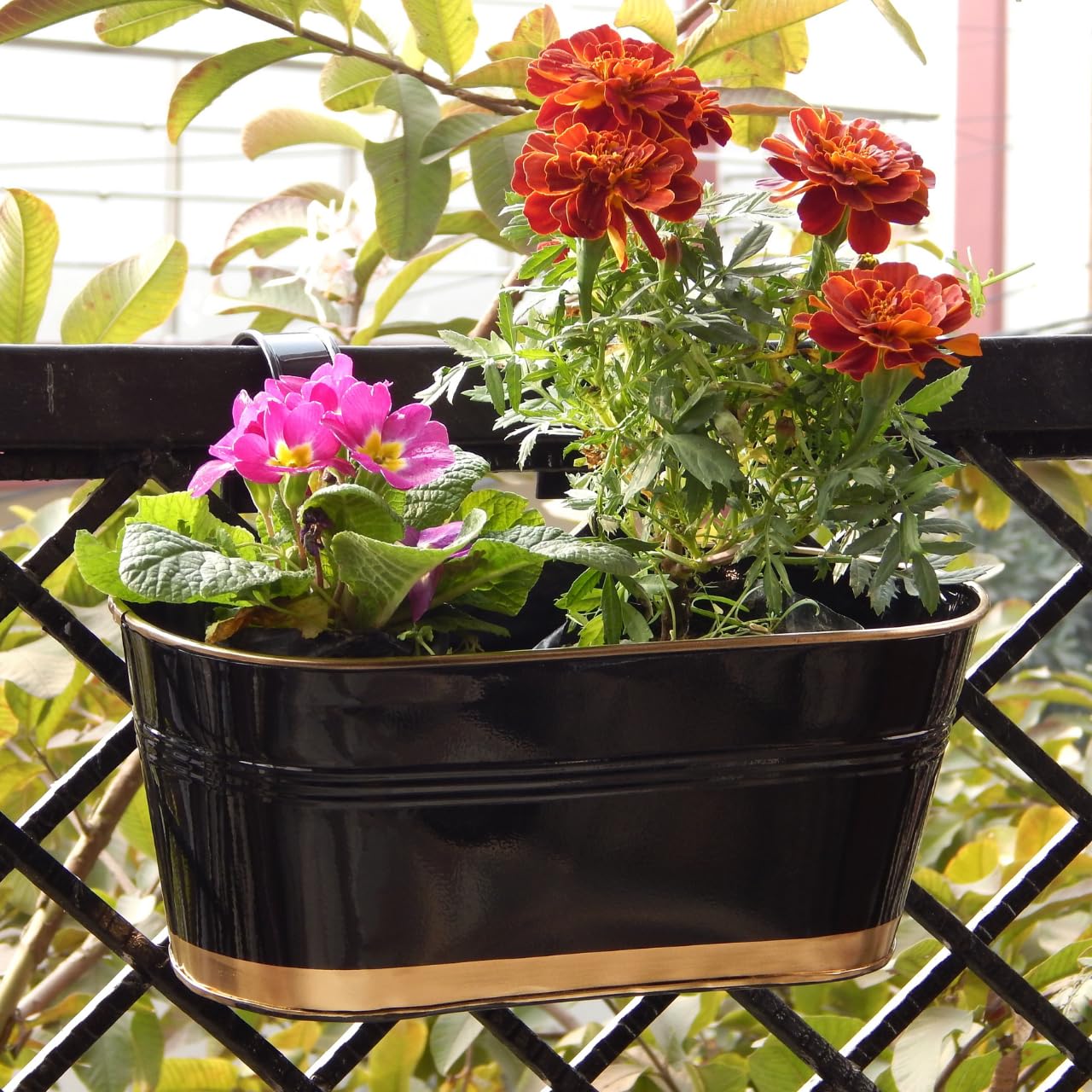 ecofynd 12 Inches Aurelia Railing Planters for Balcony, Hanging Pots for Plants, Wall Hanging Decorative Planters for Vertical Garden, Oval,12 inches, Pack of 1 (Black)