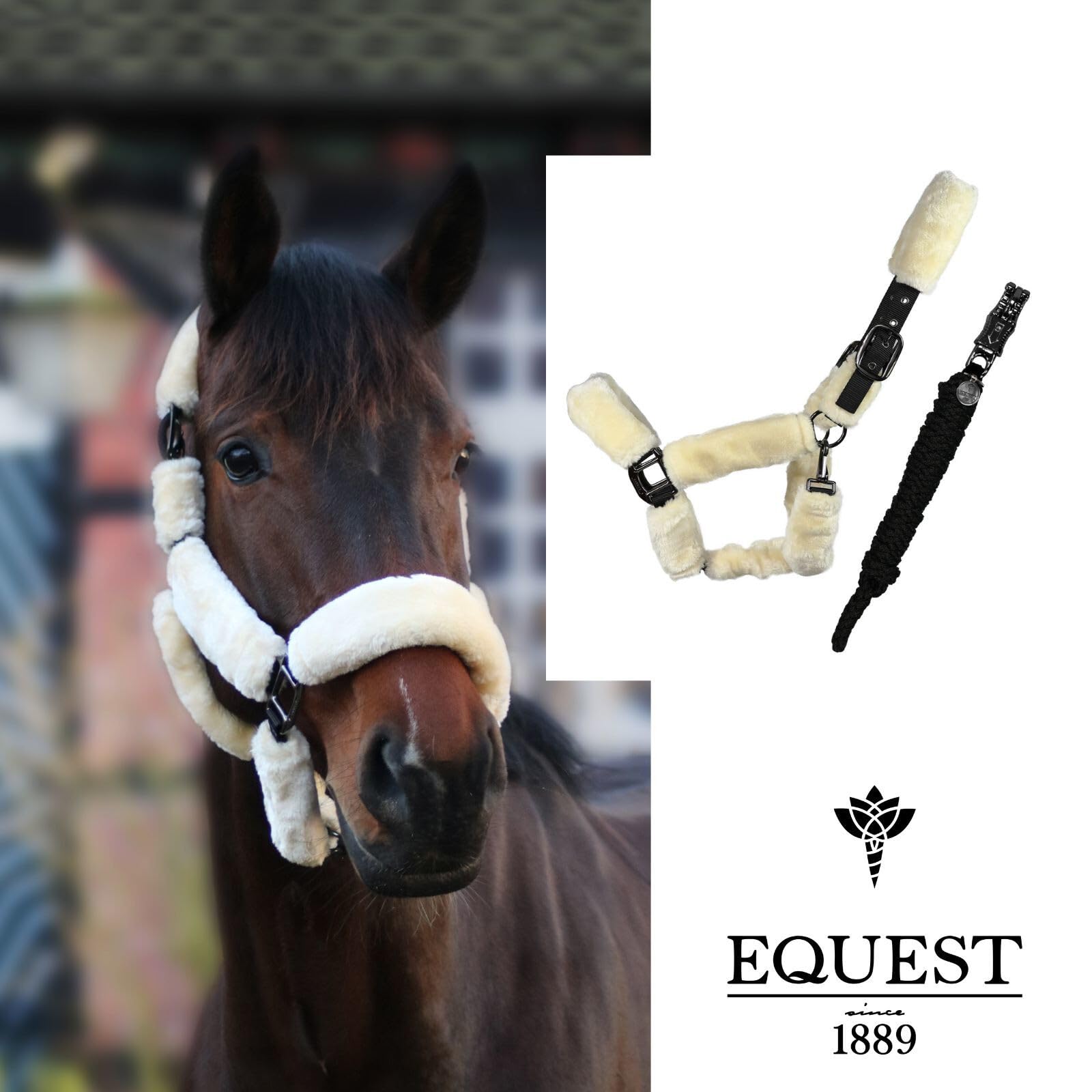 EQuest Halfter Comfort für Pferde mit Führstrick, schwarz - M/Cob/Vollblut