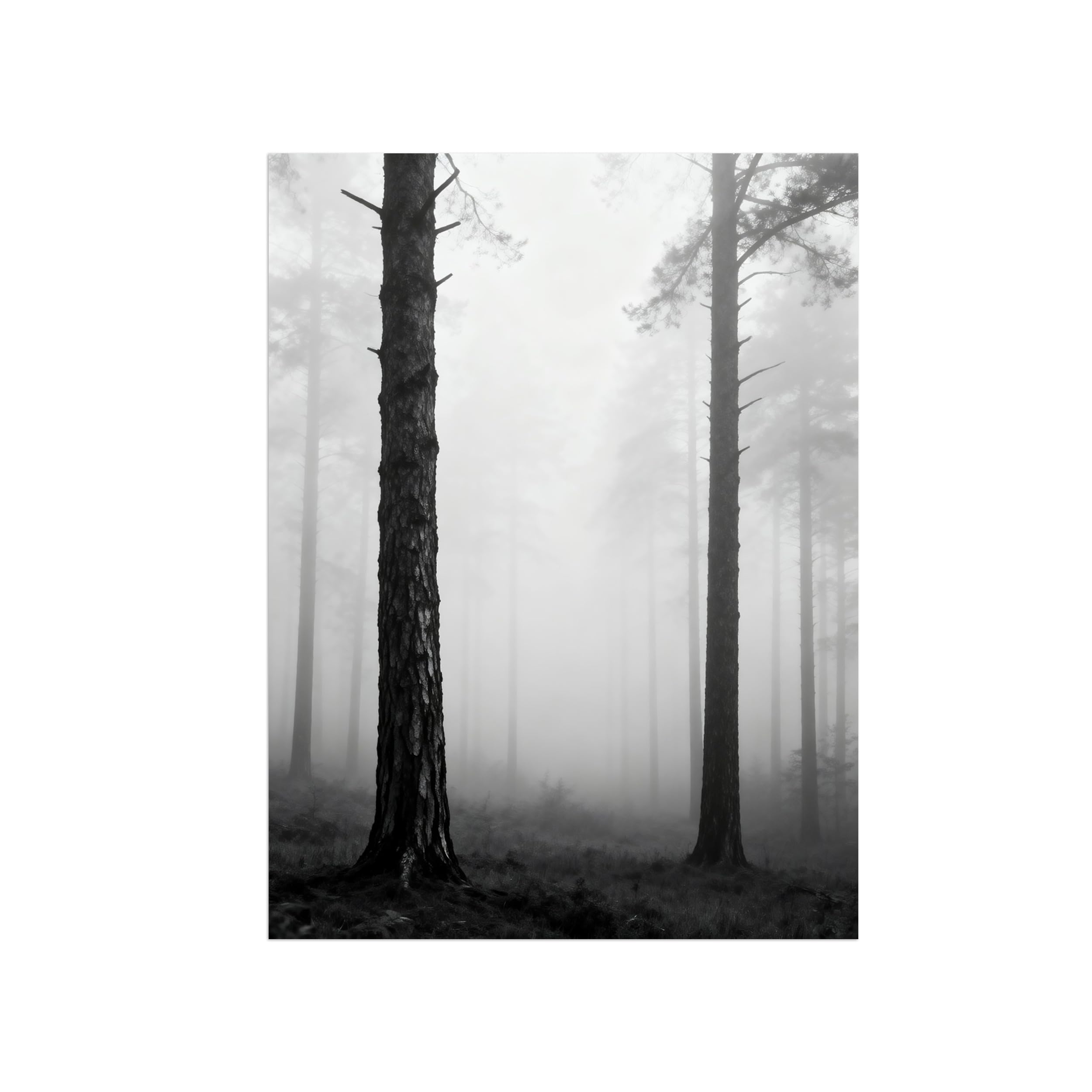 OZPWBVY Black and White Landscape Print Painting-Forest Tree-Minimalist Canvas Wall Art Picture for Home Decor 16x20in 40x50cm Unframed