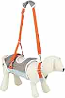 歩行補助ハーネス 小型犬ダックス用　М　ララウォーク 犬用歩行補助ハーネス LaLaWalk ダックス用 サポーターパッド