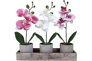 SRISA Artificial Orchid Potted Plants, Mini Fake Moth Orchid Flowers with Rustic Wood Planter Box