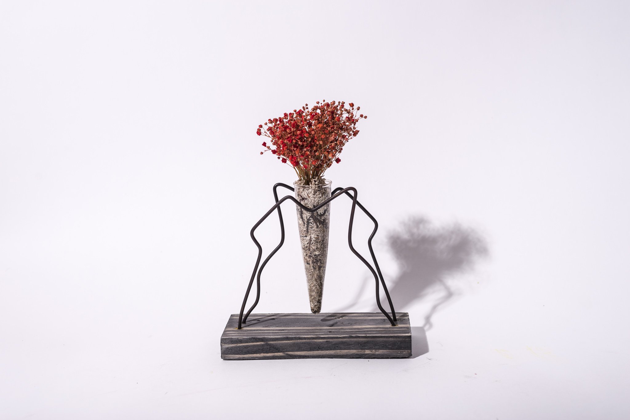 Porteur végétal stabilisé rouge | Décoration murale et centre de table durable