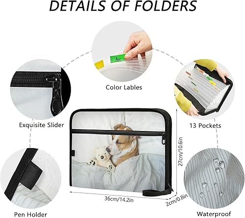 Miniatura 3 de susiyo Lindo perro durmiendo en la cama carpeta de archivos expandible 13 bolsillos organizador expandible carpeta de archivos para tamaño carta A4