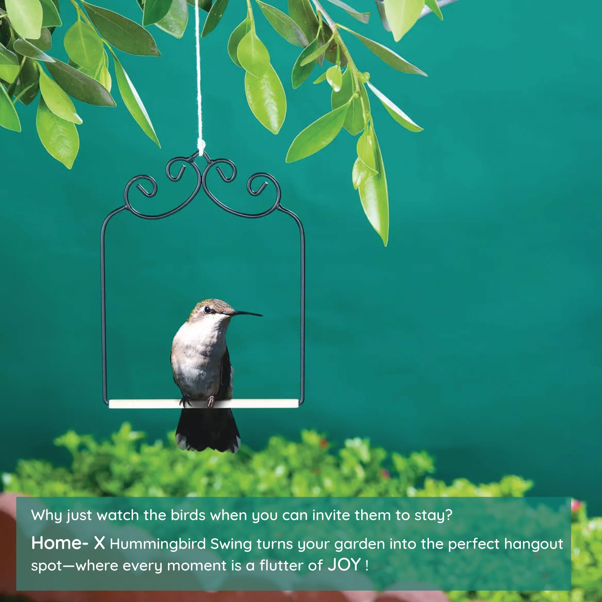 Amazon.com: Outdoor Home-X Hummingbird Swing. Metal Frame