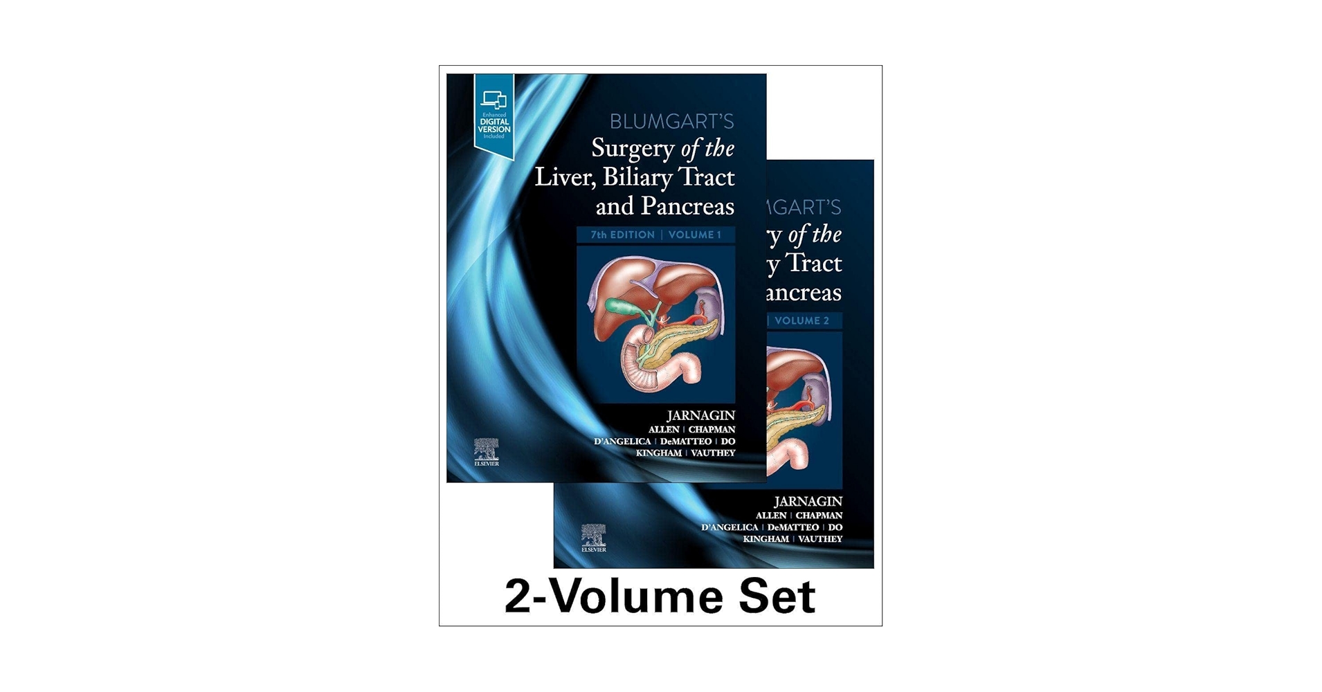 洋書 Diseases of the Liver and Biliary System Sherlock's Diseases of the Liver and Biliary System: Dooley