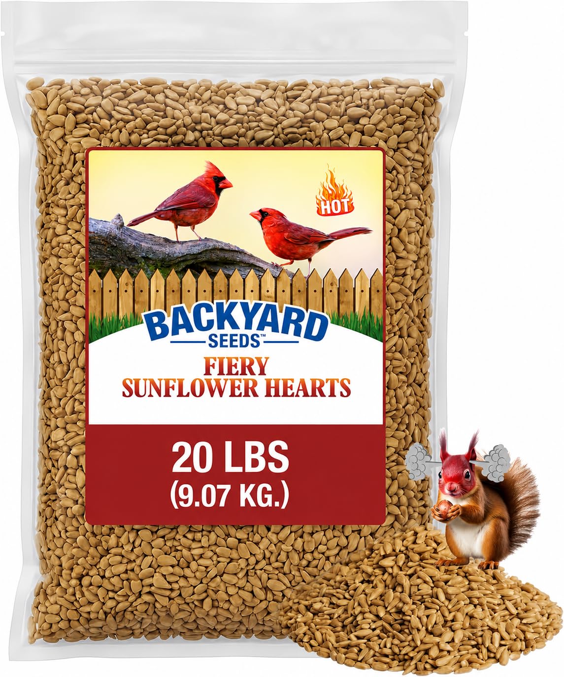 CountryMax Backyard Seeds 20LB Fiery Sunflower Hearts for Birds