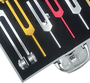 Amazon | Guddbuy 音叉、ヒーリング用音叉、音叉セット、ヒーリング用