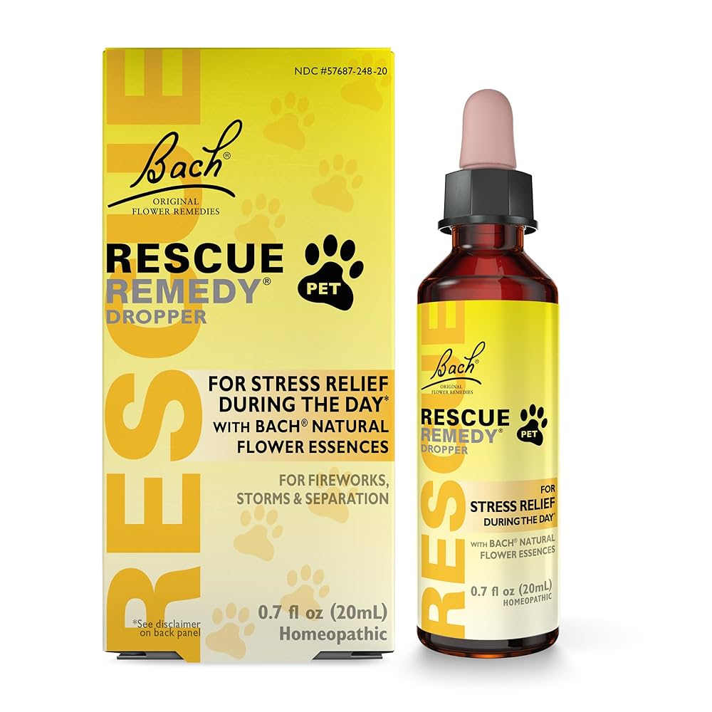 Natural Calming Remedies for Pets: Stress-Free Solutions