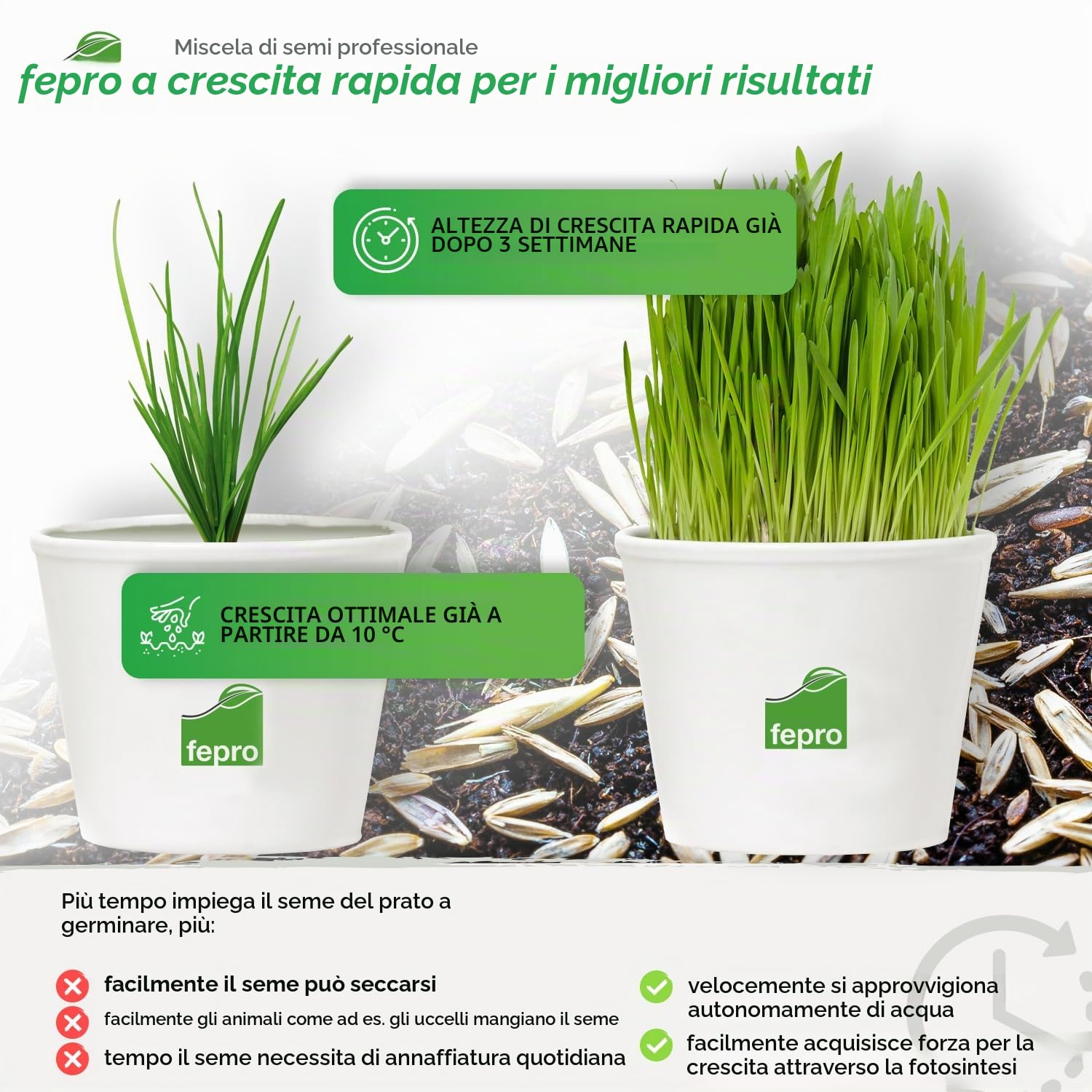 5 kg di semi di erba secca, resistenti alla siccità, per erba secca e ombreggiata, semi di erba a germinazione rapida, 200 m², ideali per semi di erba e semina