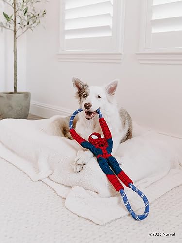 Miniatura 8 de ZippyPaws Marvel Rope Gliderz - Juguete duradero para perros al aire libre, disco volador para mascotas, juguete suave para perro frisbee para tirar