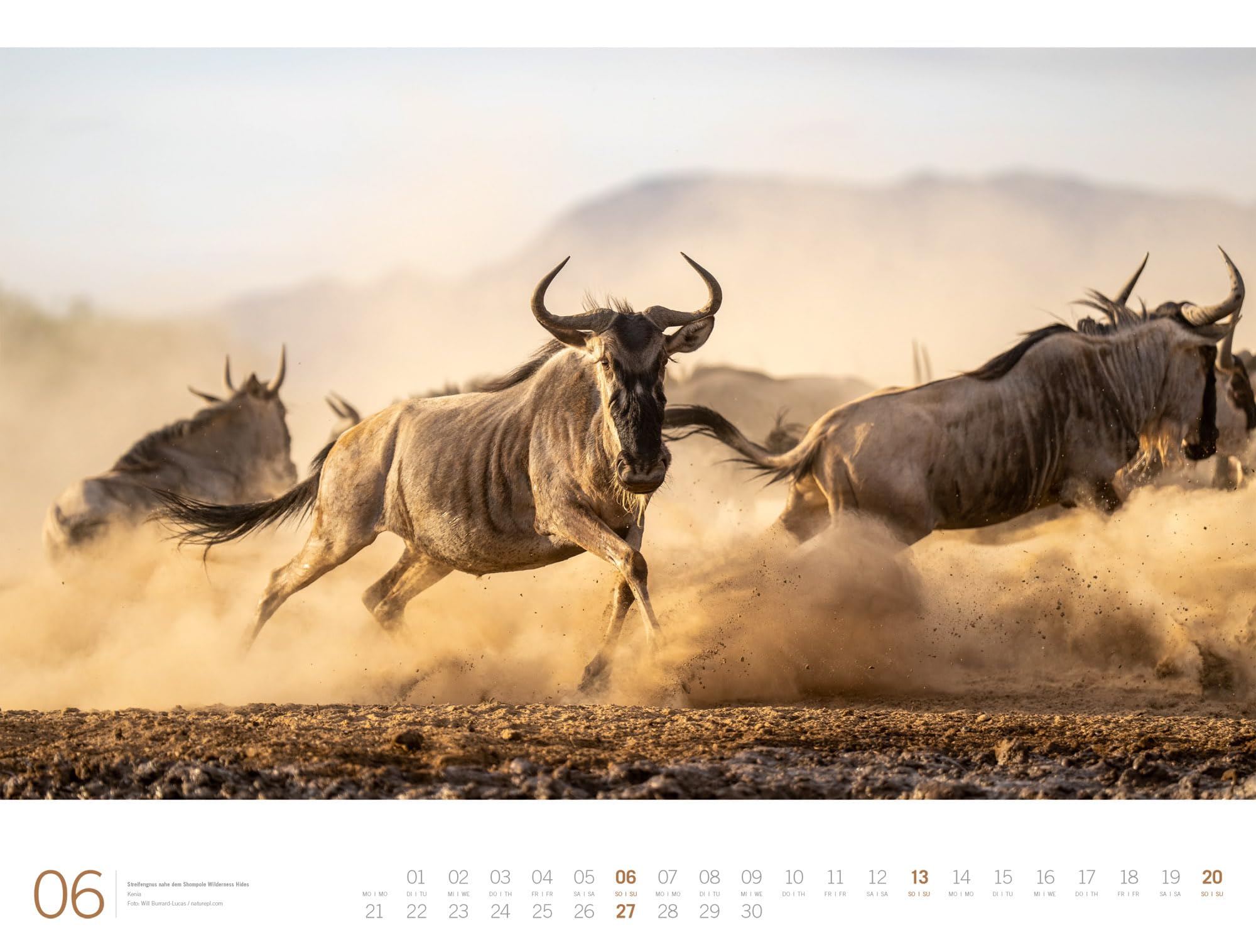 Afrika Gallery Kalender 2027: Bildgewaltiger Afrika-Kalender im großen Querformat (66x50 cm) | Tiere und Landschaft im Großformat