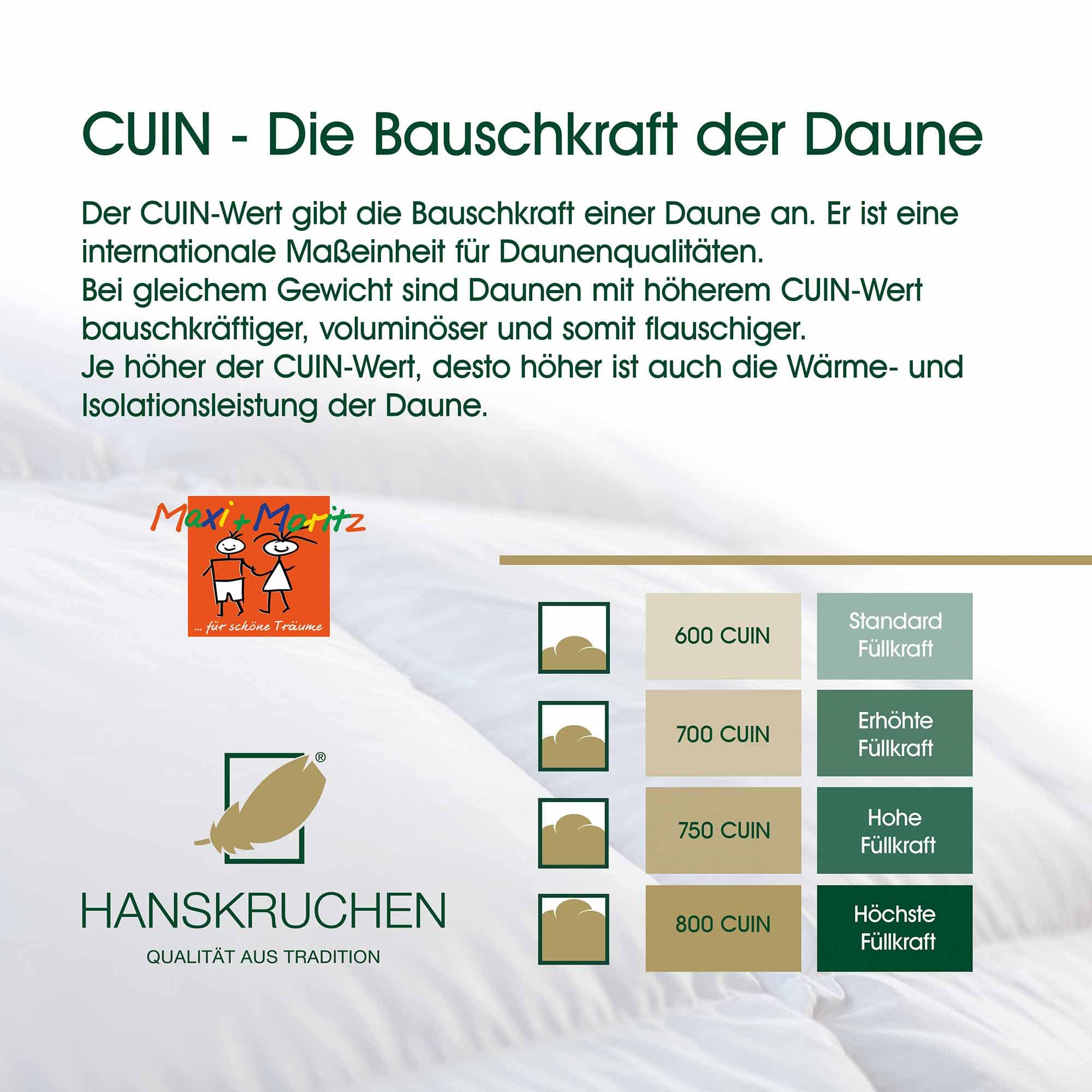 Maxi und Moritz Daunen Kinderbettdecke 135x100 cm - Winter - Made in Germany Baby Bettdecke aus 100% Baumwolle - 90% Daunen / 10% Federn - Allergiker geeignet