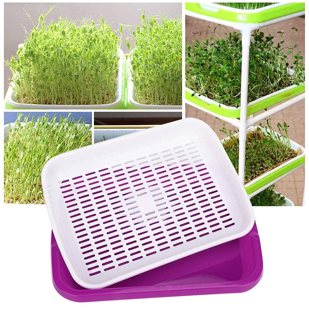 ISTARA Double Layer Sprouting Vegetable Plate Bud Seedling Tray Bean Sprout Soilless Culture Tool for Garden Home Office (1Pcs- Multi Color) 4