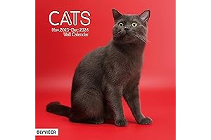 2024 Terry Runyan Cat Calendar