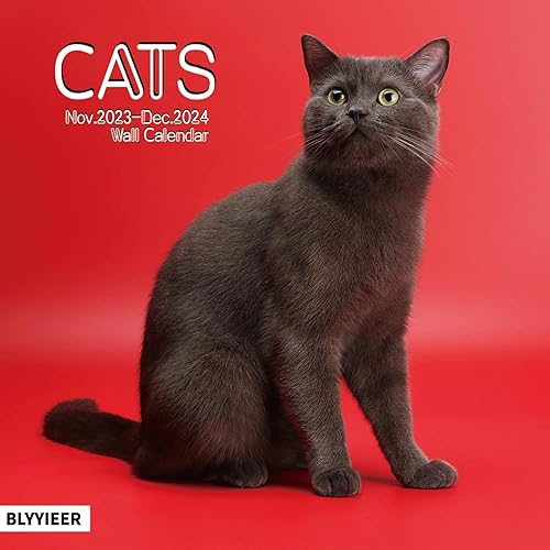 Calendario de pared 2024, calendario 2024, calendario mensual de pared de gatos, 12 x 24 pulgadas abierto, calendario de agenda familiar de