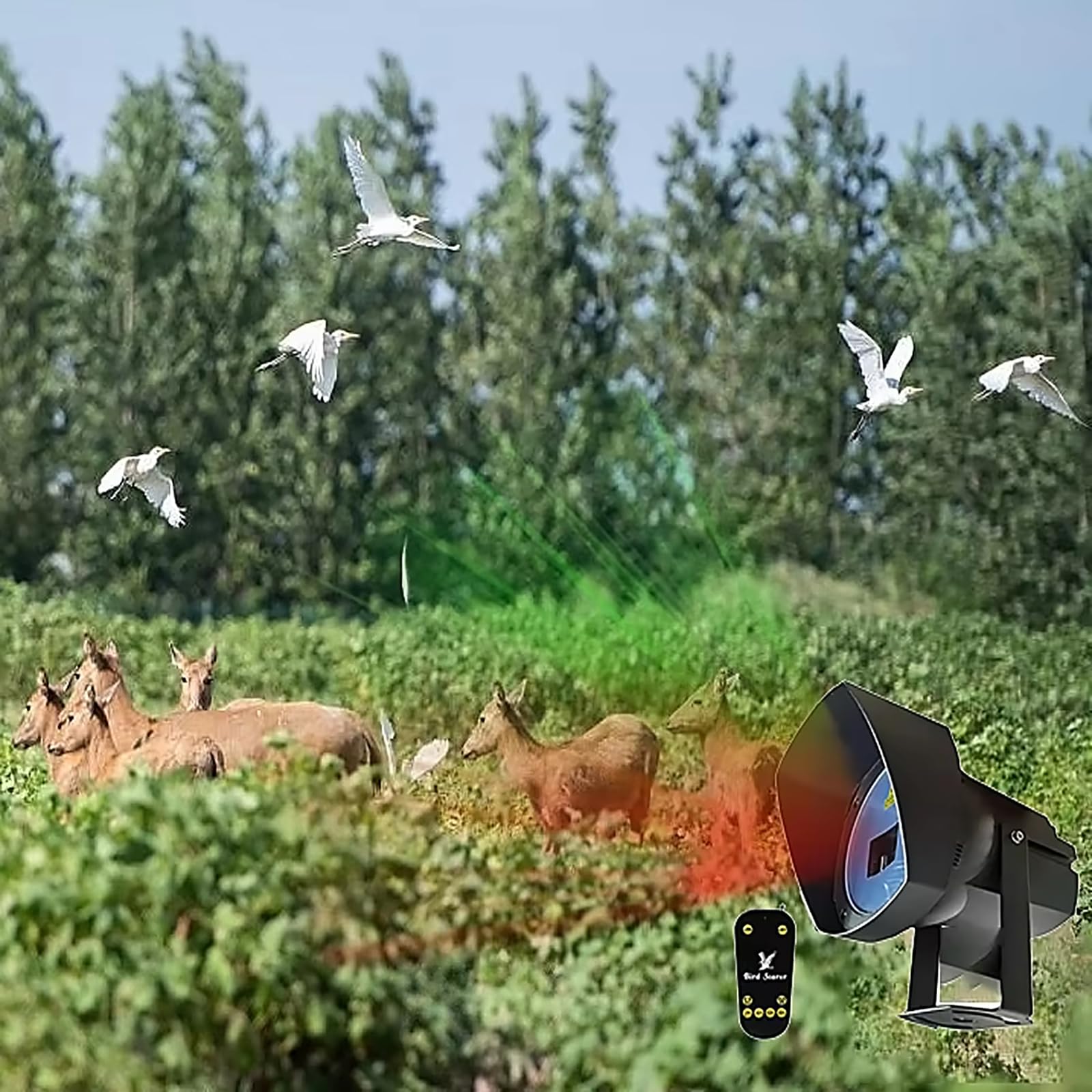 Ahuyentador De Pájaros Láser para Exteriores con Temporizador Y Control Remoto, Repelente Automático De Aves, Dispositivo Impermeable para Ahuyentar Palomas, Estorninos