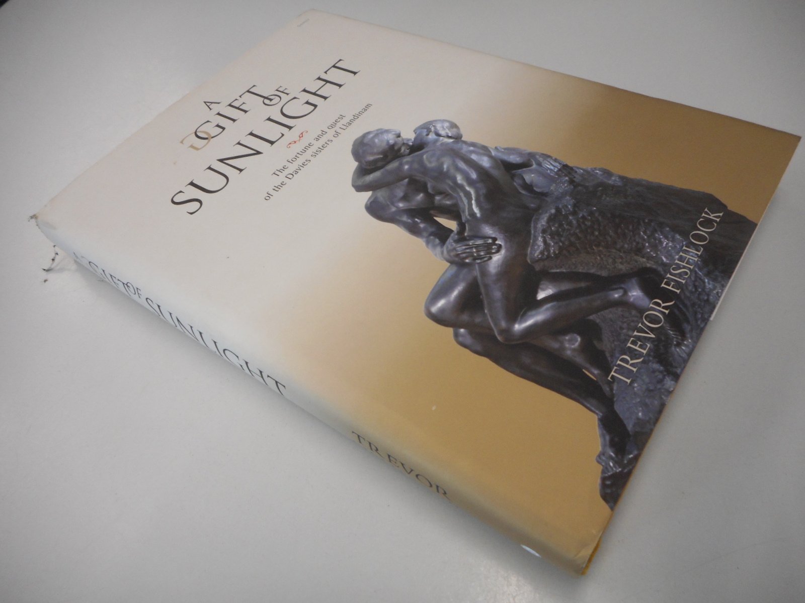 A Gift of Sunlight: The Fortune and Quest of the Davies Sisters of Llandinam