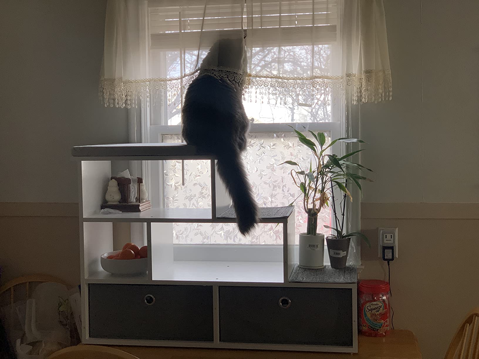 21/mo Finance PetFusion Pet Step Window Perch Bookshelf w/ Storage