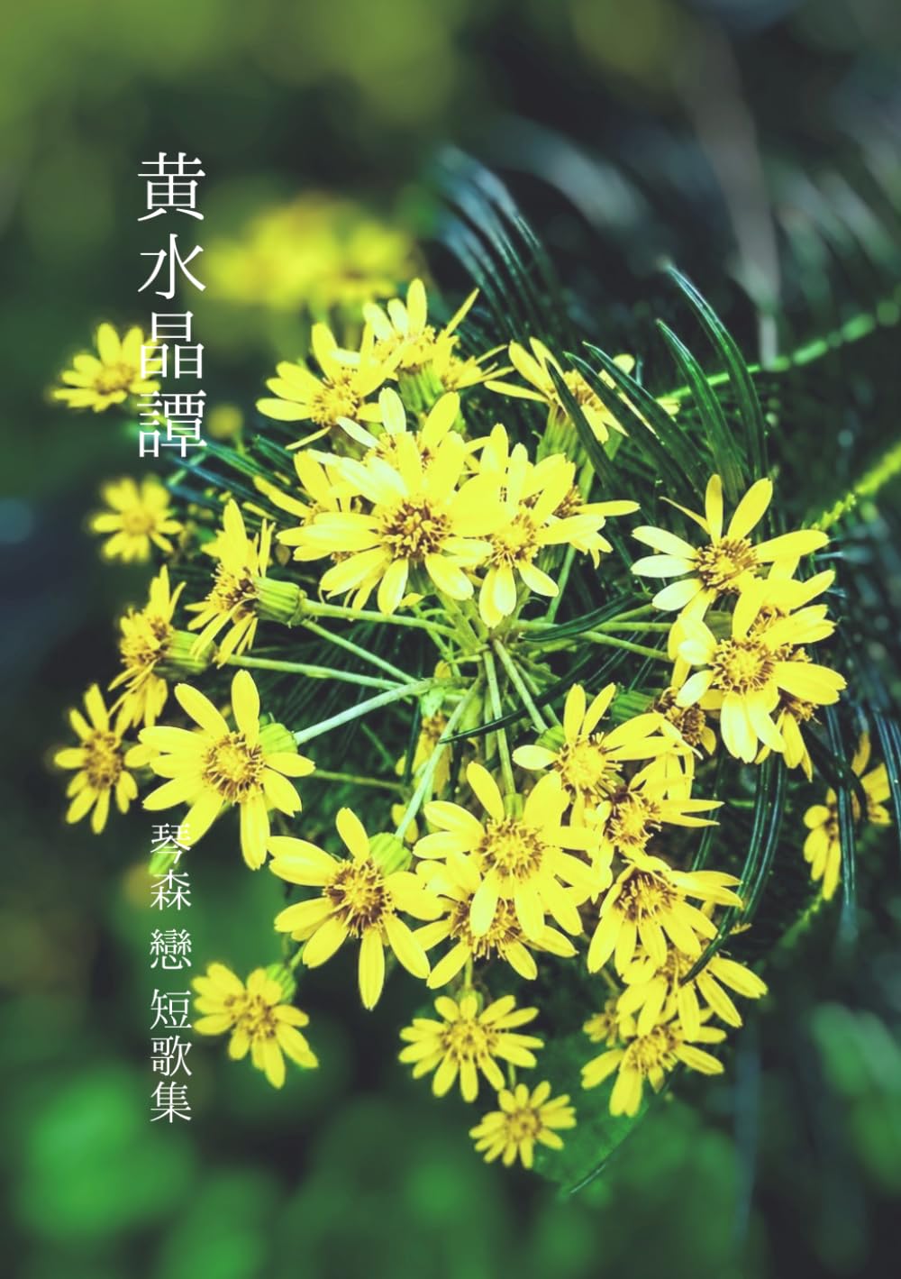 黄水晶譚―短歌集
