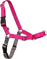 Vista 43 de Arnés de paseo fácil de PetSafe, M/ L, Púrpura Profundo/Negro