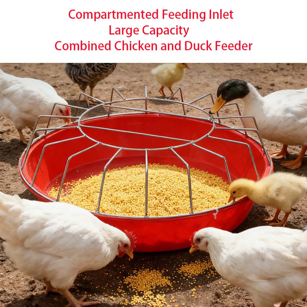 Comedero para gallineros, comederos para aves de corral para exteriores, comedero de compartimento redondo para patos, pájaros, aves de corral, accesorios para gallineros