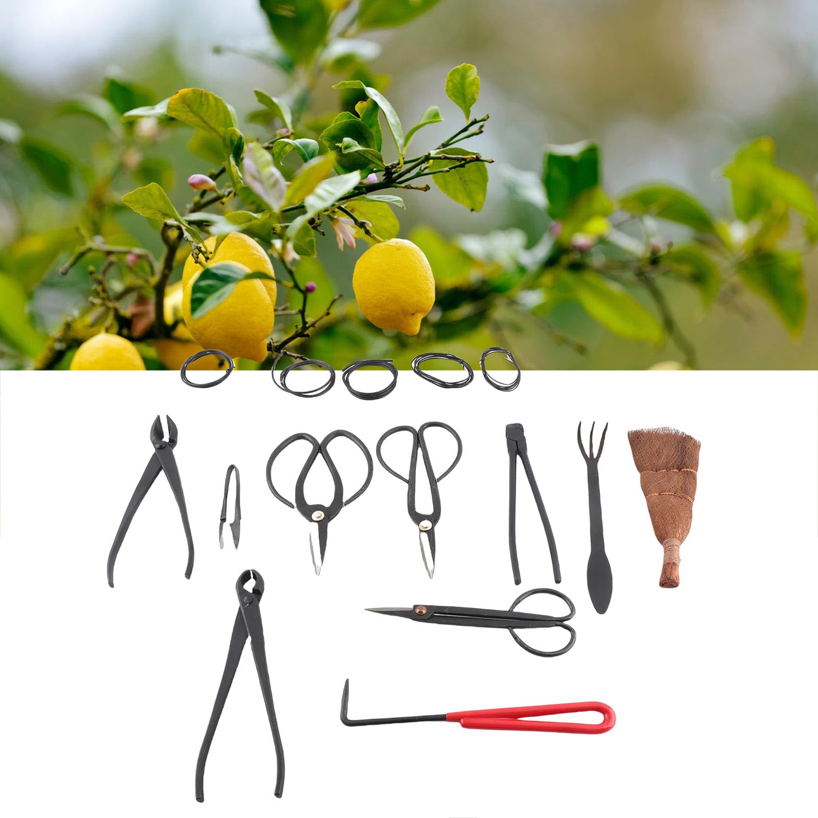 Juego de herramientas para bonsái, 12 piezas, kit de herramientas para bonsái, juego de herramientas para jardinería, suculentas, kit de recorte de suculentas de acero al carbono