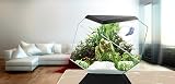 Ver la foto 1