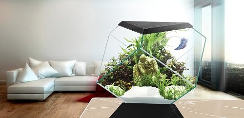 Askoll 280670 Nexus 5C Betta Life Negro