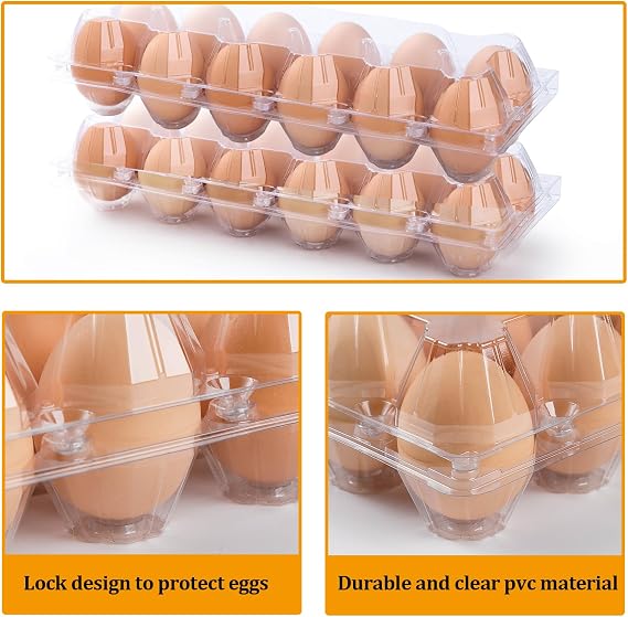 48 Pack Plastic Egg Cartons Cheap Bulk 12 Count, Clear Egg Trays 2x6 Grids