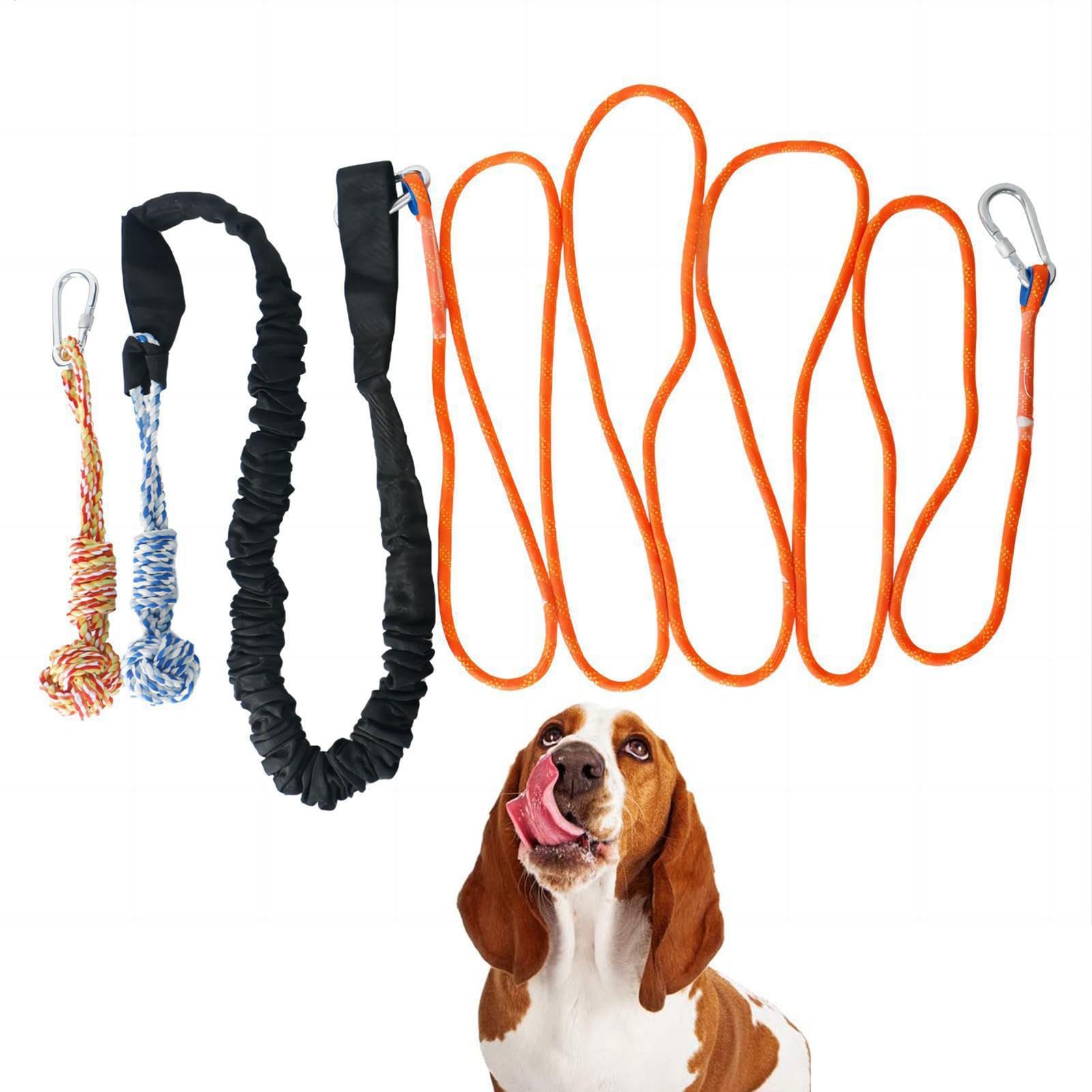 a molla per cani – Corda interattiva resistente, giocattolo