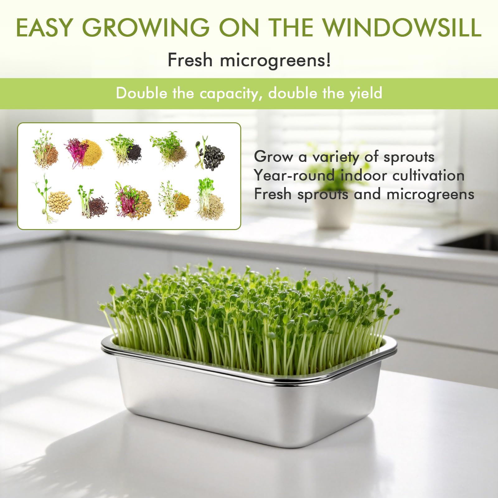Set di 2 ciotole per germogli in acciaio inox per germogli, 26 x 19 cm, seed sprouter vassoio, set per la coltivazione di serre, ciotole per crescione, ciotole per germogli, microgreens