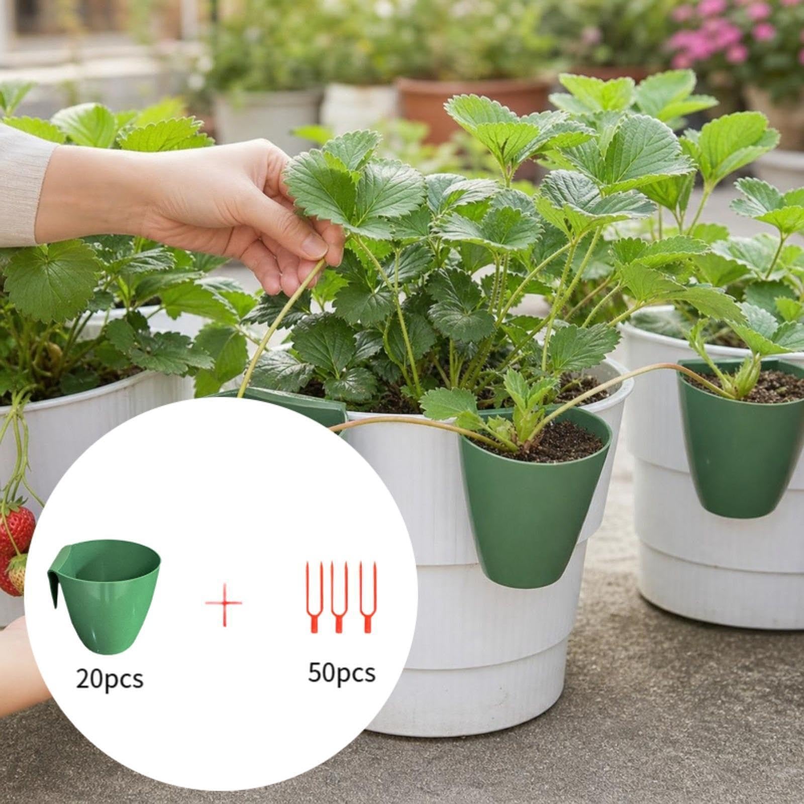 Qianly 20 Piezas Bandeja de Inicio para Plantas Propagación de Germinación con Orificios de Drenaje Set para Jardinería Interior y Cultivo en, L