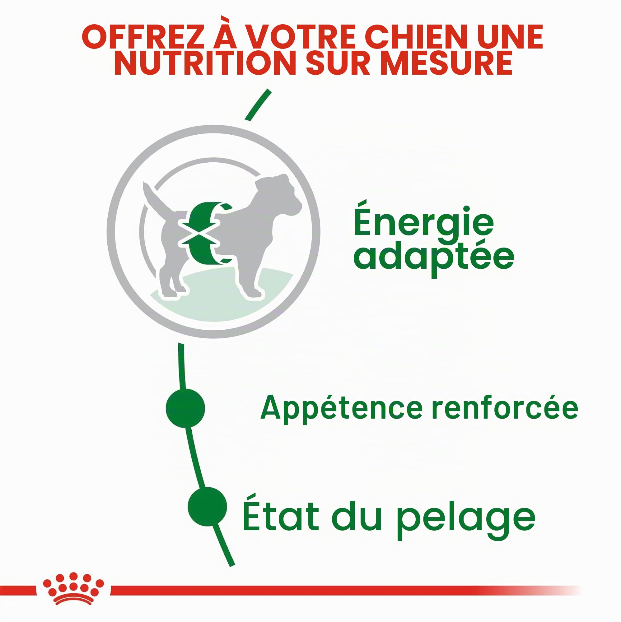 ROYAL CANIN - Croquettes Chien Royal Canin Mini Adulte : 8 kg