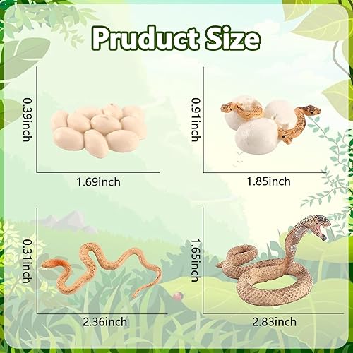 Miniatura 2 de Ciclo de crecimiento de la serpiente, modelo de ciclo de crecimiento de cobra, juguetes de figuras de serpiente, mini figura de serpiente de cobra,