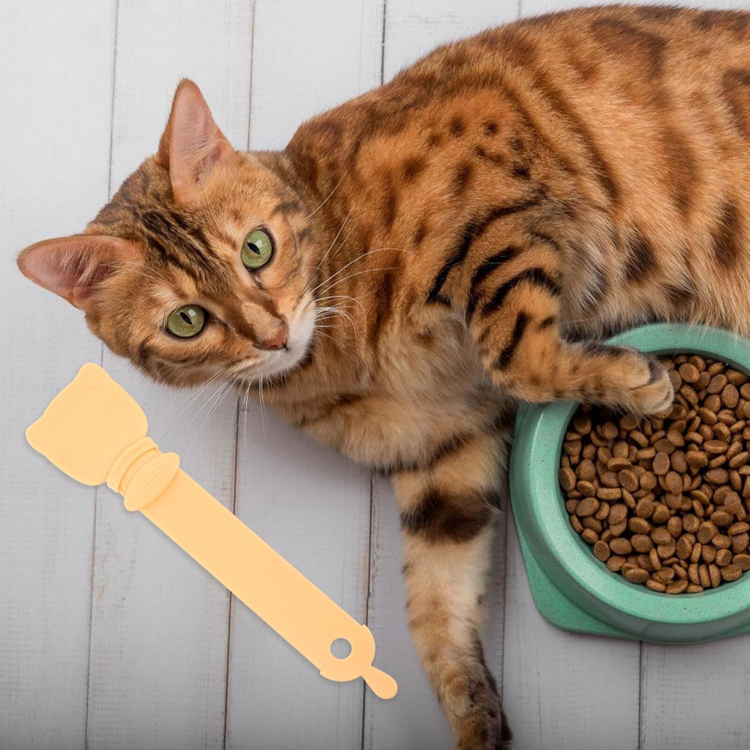 VANZACK 3pcs Cat Food Squeezer Spoon Reusable Feeding Spoon for Kittens Convenient Cat Treats Squeezer Hips Material for Easy Liquid Food Dispensing image 3