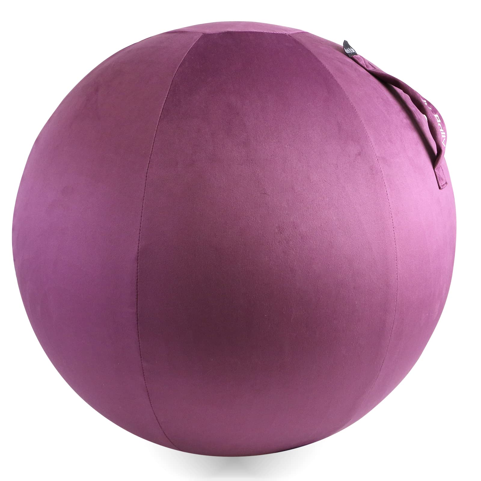 Howdy Bally Protective Cover