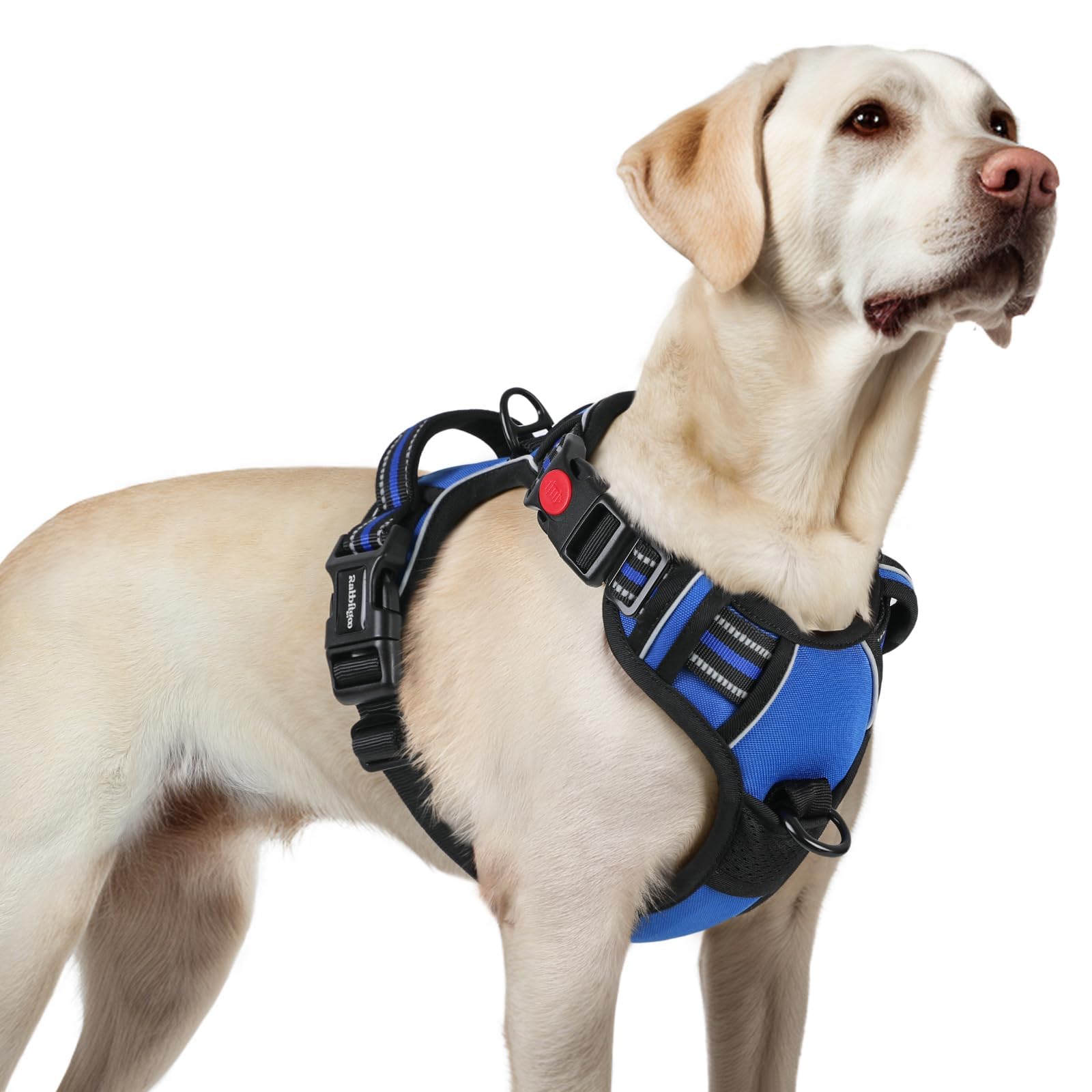 rabbitgoo Dog Harness for Large, Updated Easy On & Off with 3 Buckles | No Pull No Choke,…