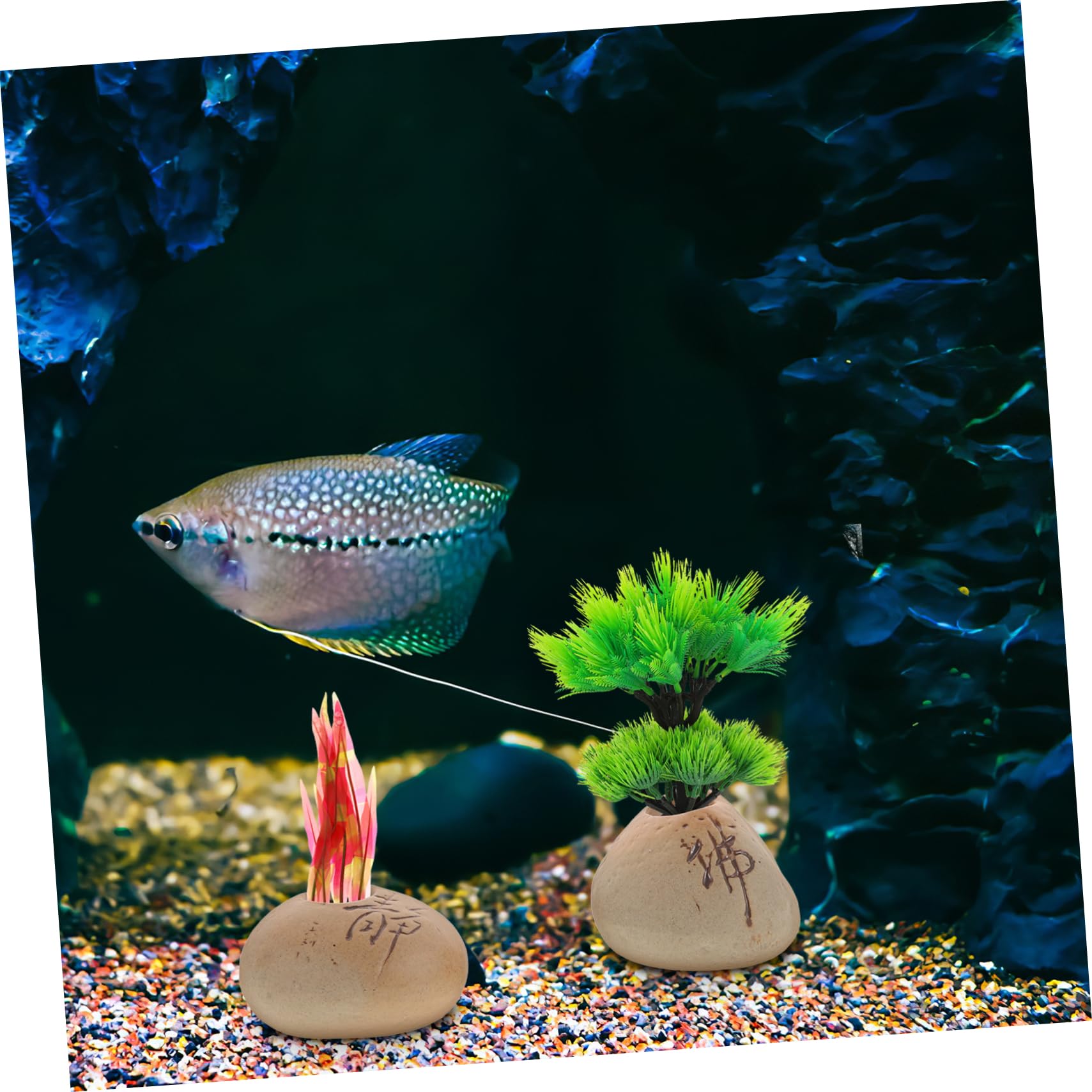 Yardwe 5Pcs Ceramic Aquarium Plant Pots Aquatic Plant Holders Fish Tank Ornaments Planter for Fresh and Saltwater Fish Tank Decor - Image 2