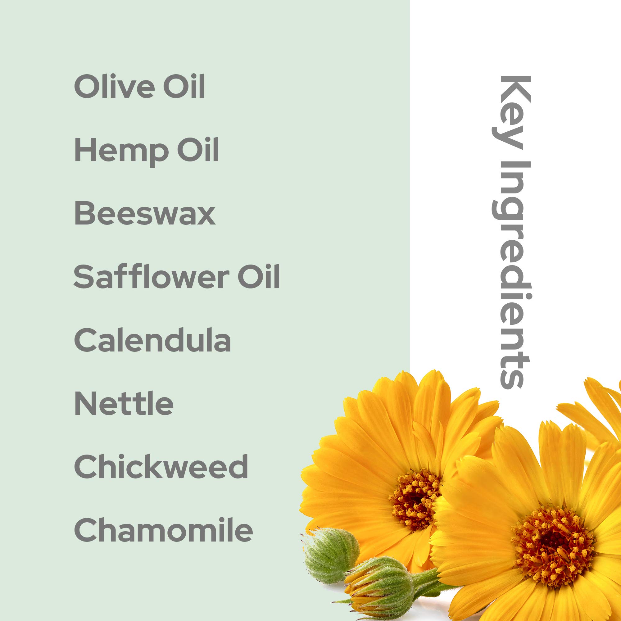 Balmonds Skin Salvation 4.1 fl oz (120 ml). Salve for Dry, Itchy Skin