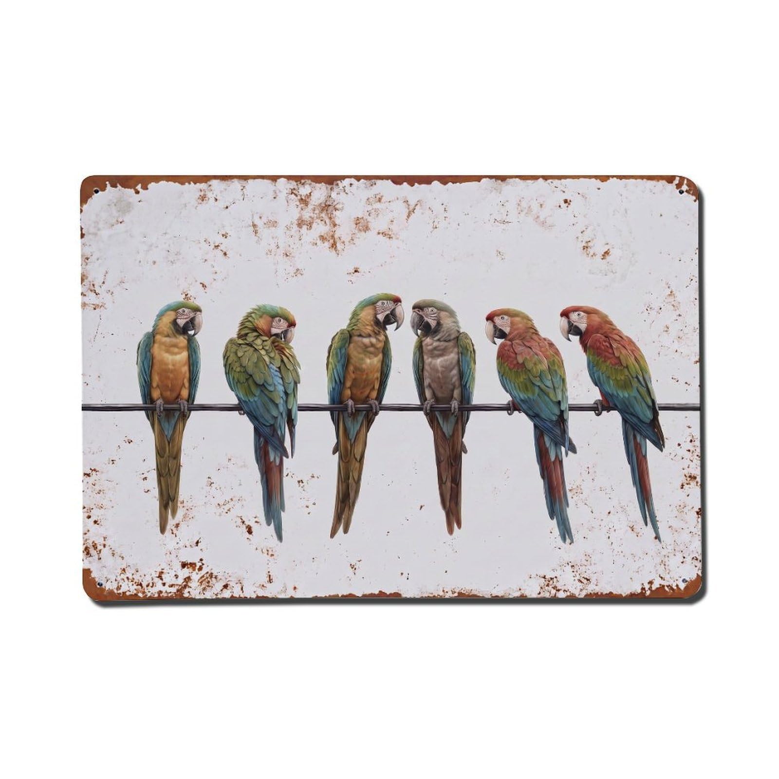 Vintage Retro Birds Green Winged Macaw Metal Tin Sign