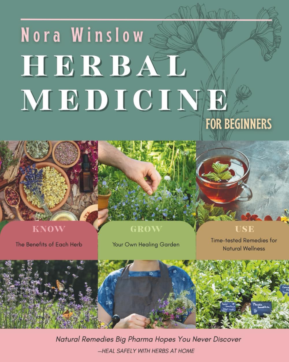Herbal Medicine for Beginners: Natural Remedies Big Pharma Hopes You Never Discover—Heal Safely with Herbs at Home      Paperback – July 14, 2025