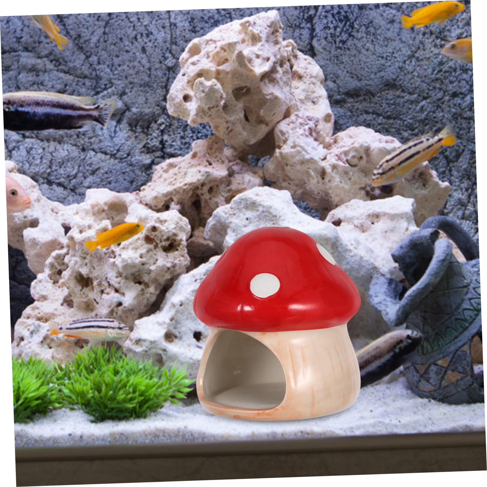 TOYANDONA Keramik Garnelenhöhle Kleine Garnelenhöhle Fisch Garnelen Versteck Betta Fisch Versteck Fischversteck Pilz Garnelen Verstecke Höhle