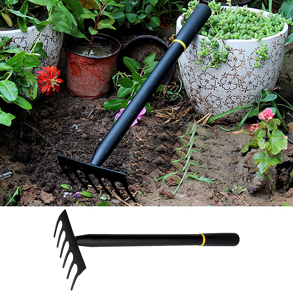 Rightclick Garden Rake Heavy Duty 12 Teeth Carbon Steel Rake